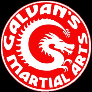 Galvan's Martial Arts in Brownsville