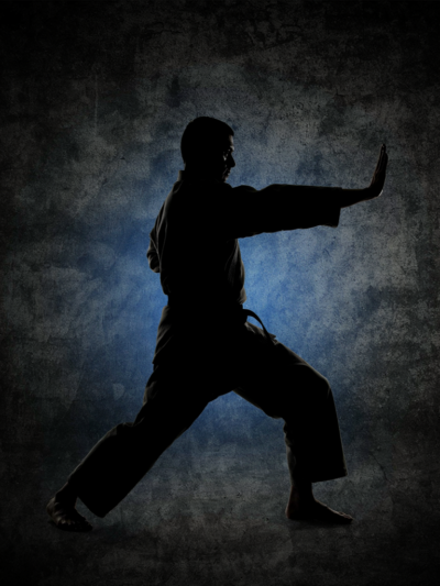 Martial arts school