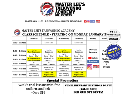 Master Lee's Taekwondo Academy
